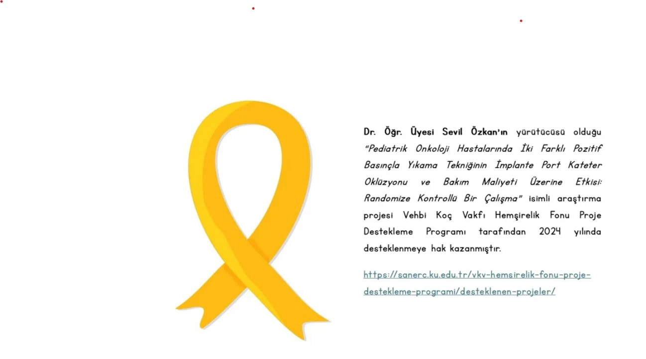 Proje Kabul Başarısı